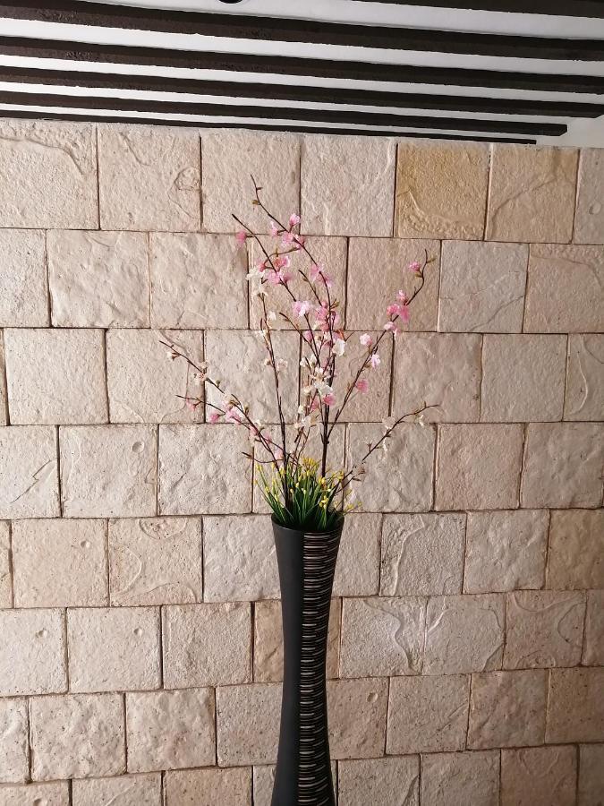 Apartament Casa Mama Bety Valladolid  Zewnętrze zdjęcie